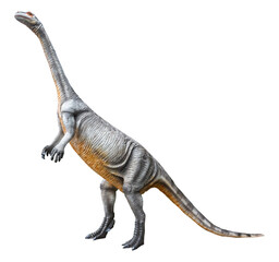 Massospondylus is a herbivore genus of Sauropodomorph dinosaurs from the Jurassic Period, the...