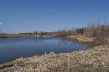 Pylypow Wetlands on an Early Spring Day