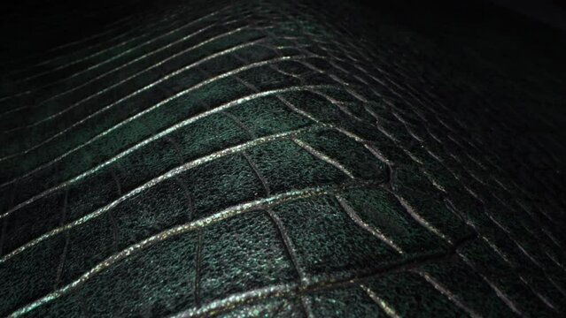 Leather texture close up. Leather clothing and fashion industry