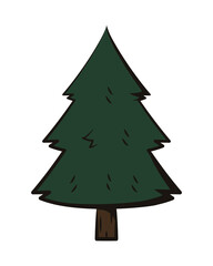 pine tree icon