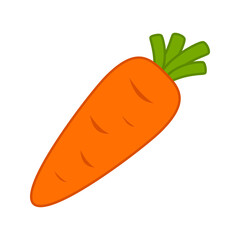 Carrot isolated on white background. Vector illustration