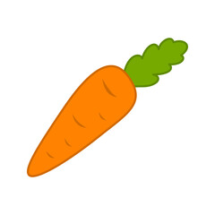 Carrot isolated on white background. Vector illustration