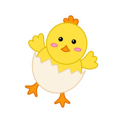 Chick isolated on white background. Vector illustration