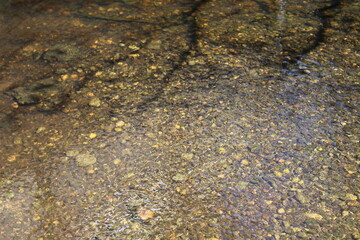 Slow flow of water on a shallow creek
