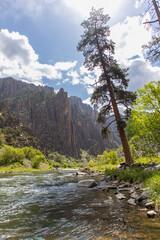 Obraz premium A view by the river at the bottom of Black Canyon National Park in Gunnison Colorado