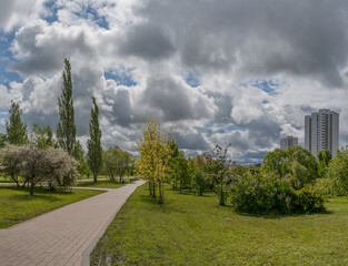 In the city spring park