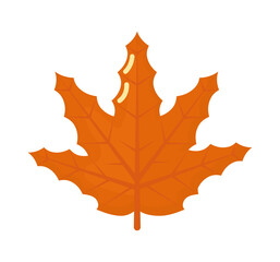 maple leaf icon