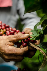 Colombia, sus colores y aromas