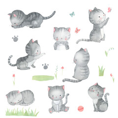 Watercolor cat. Kitten illustration for kids
