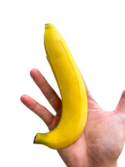 Fresh and realistic looking bananas.
