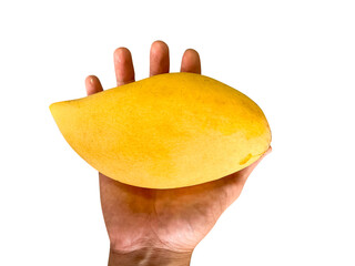 Ripe mangoes in the hand. Healthy fruit and food concept. Close-up photo