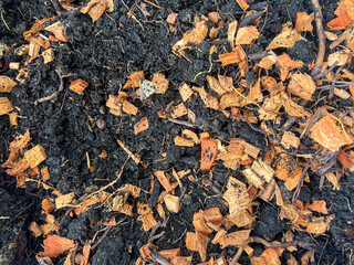 Coconut husks used as food for plants and increase drainage to the plants.