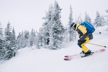 Fototapeta na wymiar Skier riding in winter forest. Winter beautiful landscape in ski resort, fir trees covered with snow
