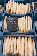 Delicious Dutch white asparagus plastic containers with dutch text 'Asparagus 1 kg for €3.75' on a vegetable market in Maastricht, the Netherlands