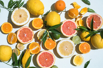 Fresh slices of different types of citrus: Orange, lime,lemon Grapefruit