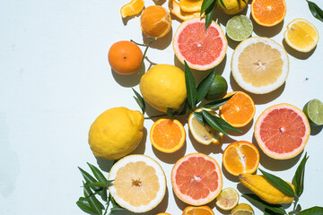 Fresh slices of different types of citrus: Orange, lime,lemon Grapefruit