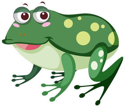 A frog cartoon on white background
