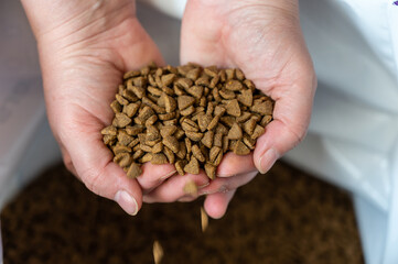 The pelleted dry cat food pours out of the palms of your hands.  Triangular brown pellets fall into an open bag. The hands of a middle-aged woman. Blurred motion. Close-up.  Selective focus.