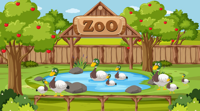 Animals at the zoo