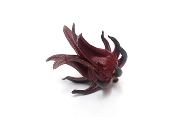 a few dark red roselle hibiscus on white background