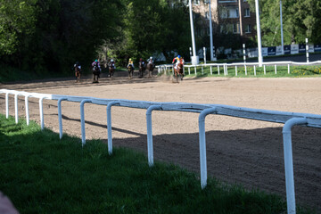 races on beautiful sports horses at the hippodrome on a summer sunny day
