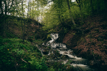 Fototapeta na wymiar small beautiful river in the forest