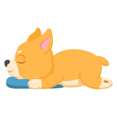 Cute corgi dog sleeping with pillow