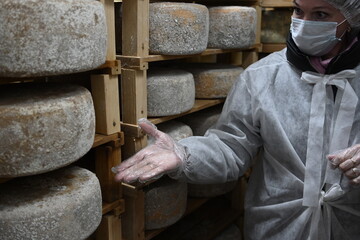 Woman worker shows hands on cheese ripening at cheese factory