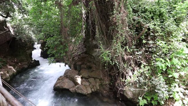 Upper Hermon River - Banias, which flows between the rocks in the Golan Heights. View from above