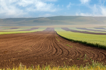 Fototapeta na wymiar View of a plowed field prepared for planting crops. Plowed land with rows of furrows.