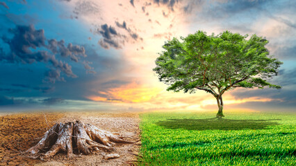 
Concept of environmental change and global warming. The soil is broken due to drought and the...