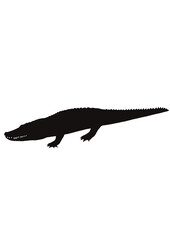 ワニ アリゲーター クロコダイル シルエット
