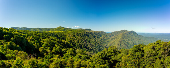 Panoramic view of the Dorrigo National Park, NSW, Australia