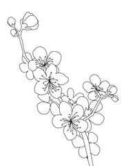 A plant is drawn in one line art style. Printable art.