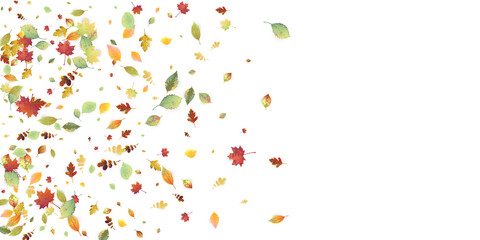 Leaves Falling Autumn Foliage Chaotic Leaf Flying