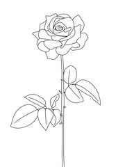 A rose is drawn in one line art style. Printable art.