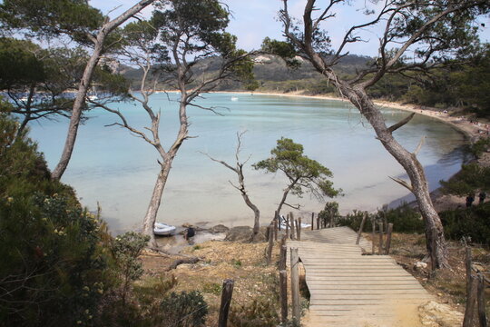 Criques de Porquerolles, Var