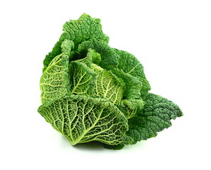 Savoy cabbage isolated on white background. kale isolated.