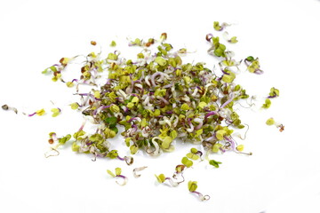 Radish germs isolated on white. Organic Sprouted Daikon Radish With Seeds And Roots. Seed germination at home. Vegan and healthy eating concept. Macro, selective focus. Fresh sprouts. 