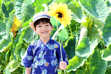 ひまわりと浴衣の男の子