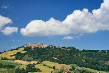 Fototapeta premium Campi in fiore nelle Marche