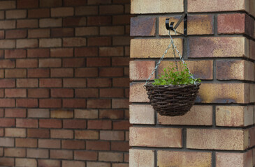a pot of vegetation hung on a brick wall