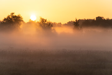 Fototapeta na wymiar A rural landscape on a foggy, spring morning.