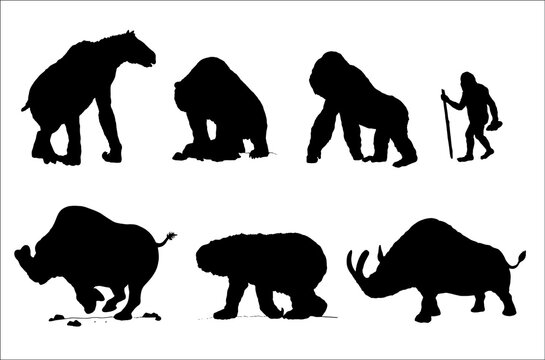 Prehistoric animals - gigantopithecus, australopithecus, chalicotherium, cave bear, diprotodon, embolotherium and Megacerops. Silhouette drawing with extinct animals. Vector illustrations.