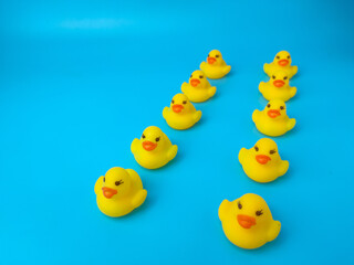 Group of toy ducks. Leadder and teamwork concept