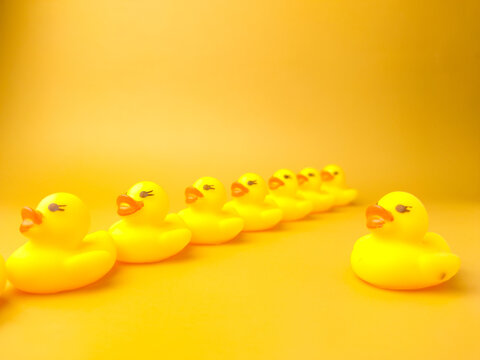 Group of toy ducks with leadder. Leadder and teamwork concept