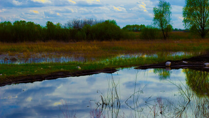 reflection of trees in the water
