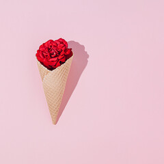 Waffle cone with red rose flower, on pink background. Flat laid, floral background top view, summer concept