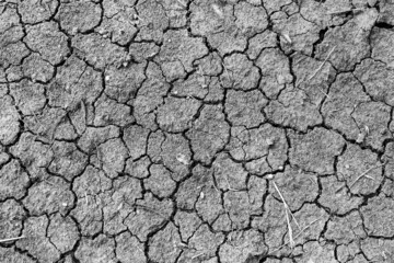 The land was dry and cracked. The global shortage of water on the planet. Global warming and greenhouse effect concept.                 