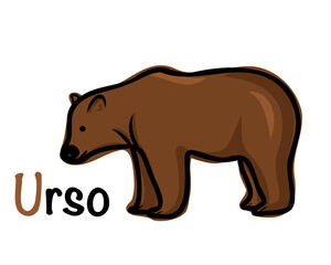 Portuguese alphabet with a picture of a bear. Translation from Portuguese: bear. Vector doodle hand drawn illustration